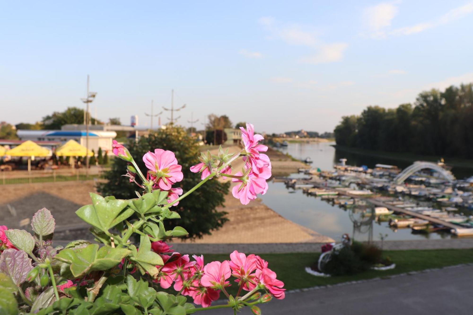 Apartments Marina Apatin Εξωτερικό φωτογραφία